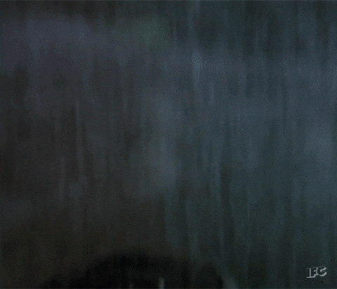 sylvester stallone rambo GIF by IFC