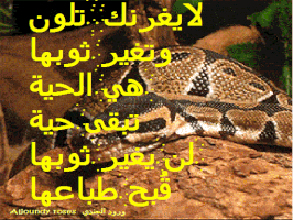 aljoundyroses wisdom snake GIF