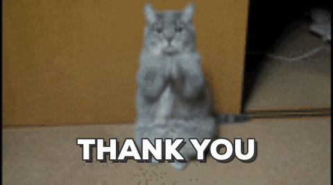 Thankful-cat GIFs - Get the best GIF on GIPHY