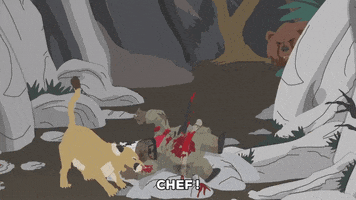attacking MOUNTAIN LION GIF by South Park 
