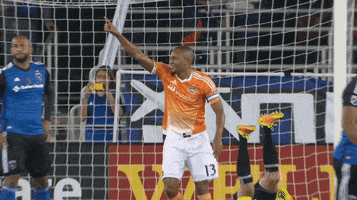 celebrate number one GIF by Houston Dynamo