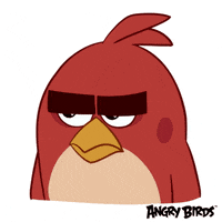 Angry-bird GIFs - Get the best GIF on GIPHY