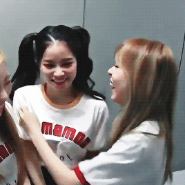 gayness  GIF