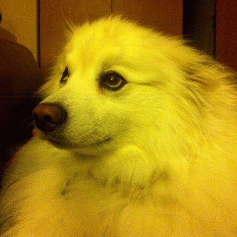 oksettledown ifyousayso #milessmiles #stillsmiling GIF