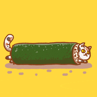 cat sushi GIF by Percolate Galactic