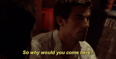 so why would you come here season 3 GIF by Bachelor in Paradise