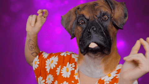 giphy.gif?cid=ecf05e47d03e3ba6b746c4e286