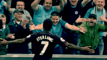 Man City Fans GIF by Manchester City