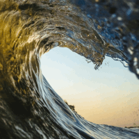 wave surf GIF by Evan Hilton