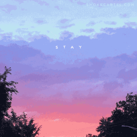 smokecartel 420 smoke cartel stay lifted GIF