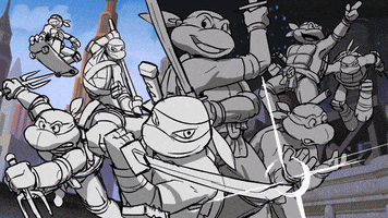 Ninja Turtles Nickelodeon GIF by Teenage Mutant Ninja Turtles