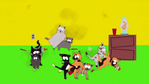 cats