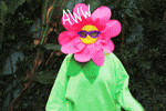 100.gif?cid=20e14a2a9d98kb1lv928er0iuar6hlnwifn48tlbrtgak8ah&rid=100.gif