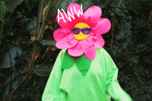 Video gif. A person dressed in a flower costume, where their body is the green stalk and their face is the flower. They punch the air while rainbows and stars stream out of their fists. Text, "Aww, Yeah!"