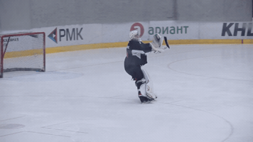 vinalapkes russianhockey GIF