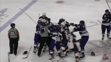 solar bears fight GIF by Greenville Swamp Rabbits