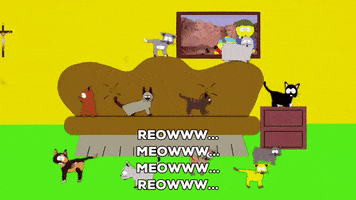 cats meowing GIF by South Park 