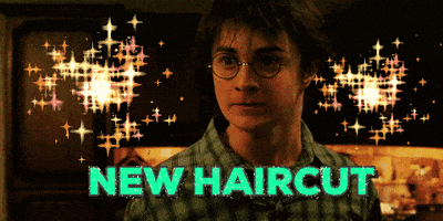 harry potter new haircut GIF by emibob