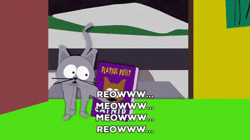 cats meowing mr kitty GIF by South Park 
