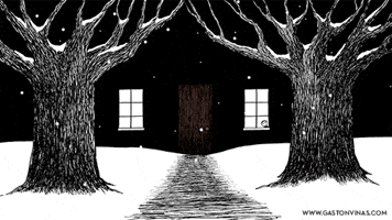 gastonvinas snow home earth slow GIF