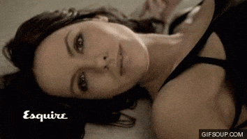 bullock  GIF