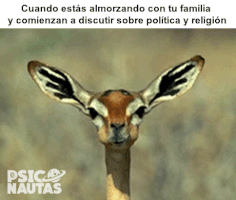 natanpaoloolguinespinosa  GIF