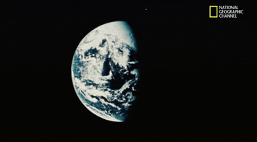 200.gif?cid=fc005b08c2d001a1755beefda22d82c7e2781f3974fdc610&rid=200.gif&ct=g