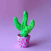 Pink Cactus GIF by Polina Zinziver