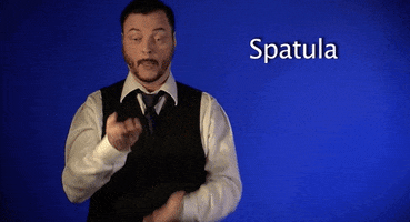 sign language spatula GIF by Sign with Robert