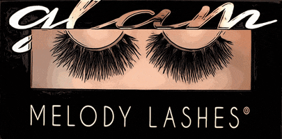 makeup lash GIF by Melody Lashes
