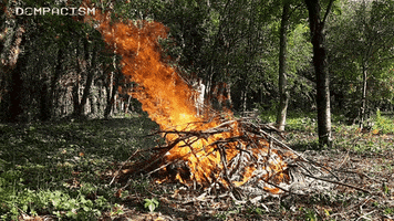 Fire GIF