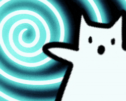Oh No Cat GIF by Abitan