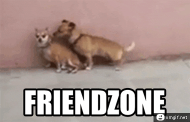 funny animation of Two dogs. A male dog friendzoned by the female making funny sexual moves