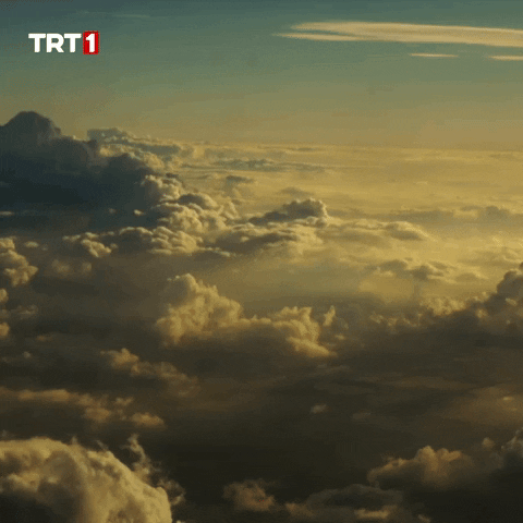 Fly Plane GIF by TRT