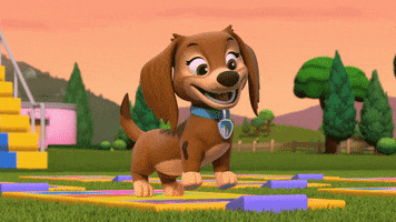 Happy Paw Patrol GIF by Spin Master