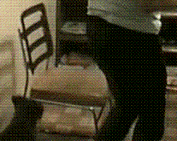 dog fail falling GIF