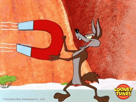 oh no omg GIF by Looney Tunes