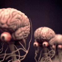 Brain GIFs - Find & Share on GIPHY