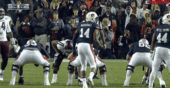 confused lsu GIF by FirstAndMonday