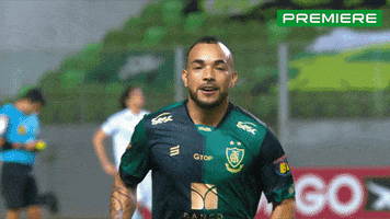 Serie B GIF by Canal Premiere