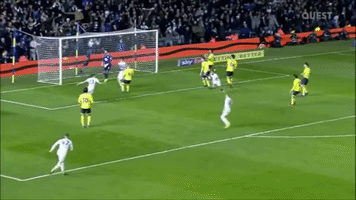 Leeds United Lufc GIF