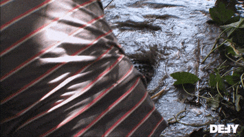 Swamp People Alligator GIF by DefyTV