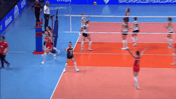Sport Celebrate GIF by Volleyball World