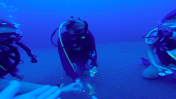 Scuba GIF