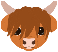 Highland Cow Scotland Sticker
