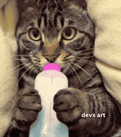 Cat Water GIF by DevX Art