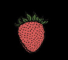 bauerschwaller strawberry farmer rotation bauer GIF