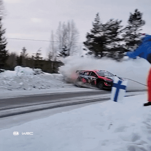 Snow Surprise GIF by FIA World Rally Championship