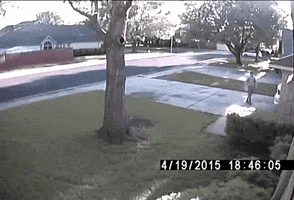 200.gif?cid=fc005b08ee874b924f8f7cf399da45a3f78aa50e29e08ff7&rid=200.gif&ct=g