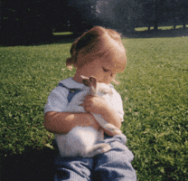 Memes GIF